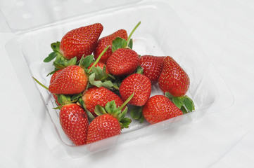 freash strawberry in packed