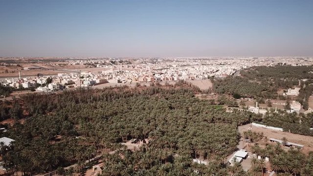 Aerial view of date trees in Buraidah, a small city in central Saudi Arabia