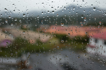 Water drop on the window