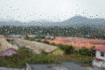 Water drop on the window