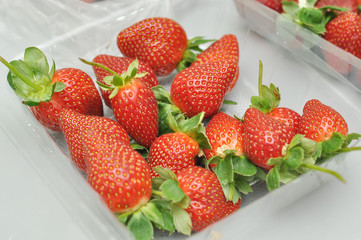 freash strawberry in packed