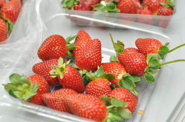 freash strawberry in packed