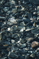 Piedras debajo del agua 