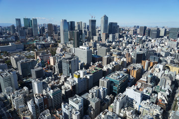 東京　2020年 景色　展望　展望台　俯瞰　遠景　昼間　快晴　青空