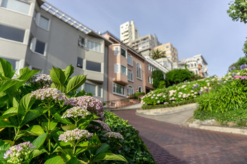 Fototapeta na wymiar Lombard Street, One of best spot of San francisco