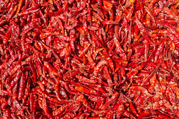 Fototapeta premium Texture background and pattern of cultivated dried red hot chili peppers with Capsaicin. Top view local organic product, outdoor natural sun drying method.