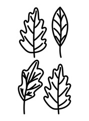 Isolated natural leaves vector design