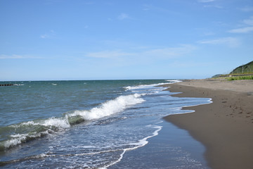 夏の海