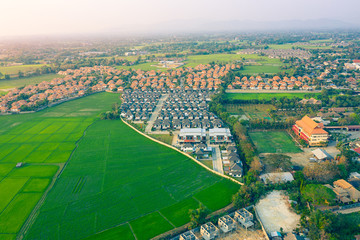 Fototapeta na wymiar rice field and housing estate