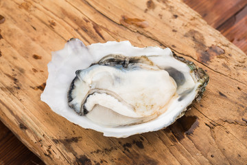 Opened oysters,Fresh oysters on a wooden background