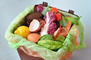 Trash bin full of organic garbage.