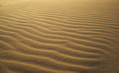 Sand in desert with ripple background