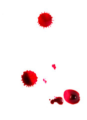 Drops of red blood on a white background spray.