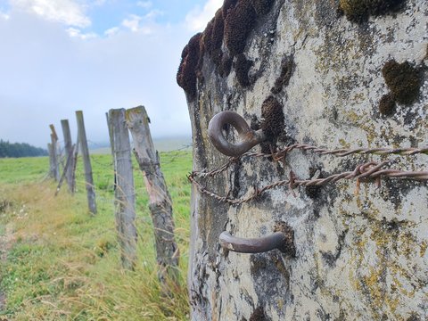 fence