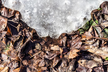 Snow is gradually melting on the lawn.