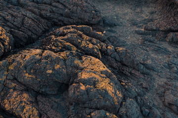 Rocks near Kiama Blowhole