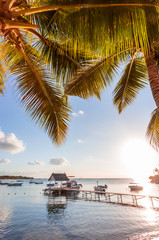 palm trees on the beach of Balaclava, Mauritius 