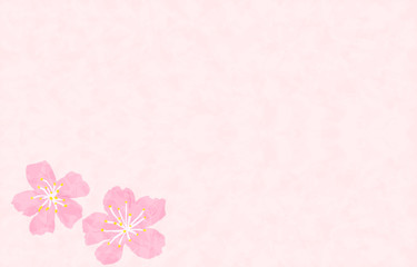 水彩風の桜の花、サクラ色の背景