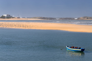 Obraz premium Boat seagulls and surf on the Atlantic ocean coast of Oualidia Morocco