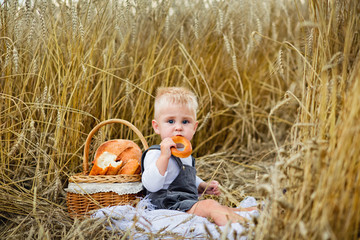 a boy on a picnic in a wheat field eats products from bread and rolls