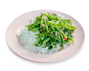 Top view of Stir Fry Water Spinach and topping on rice.