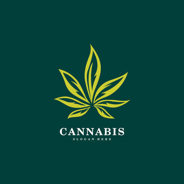 Cannabis marijuana leaf logo vector