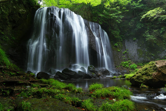 緑の中の達沢不動滝 © CHOCOMAMA