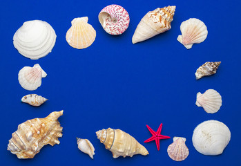 Summer time concept with sea shells and starfish on blue background, copy space. Flat lay, top view