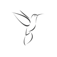 Vector image hummingbird design on white background. icon symbol. Illustrator. Black and White © ploygraphic