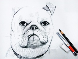 Art Drawing Sketch Smiling  Cute   bullDog