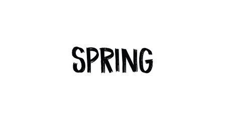 Spring text lettering sign. Modern typographic design element.