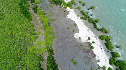 Bird eyes view Drone photography Coastline and sea landscape