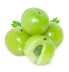 Indian gooseberry isolated on white background