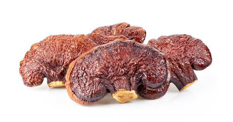 Lingzhi Mushroom Ganoderma Lucidum on white background