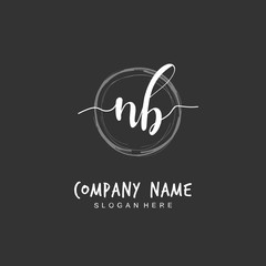 Handwritten initial letter N B NB for identity and logo. Vector logo template with handwriting and signature style.