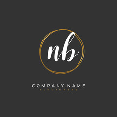 Handwritten initial letter N B NB for identity and logo. Vector logo template with handwriting and signature style.