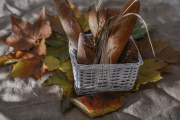 bread in basket on background