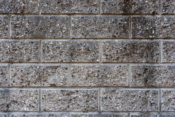 Obraz premium ブロックでできた塀