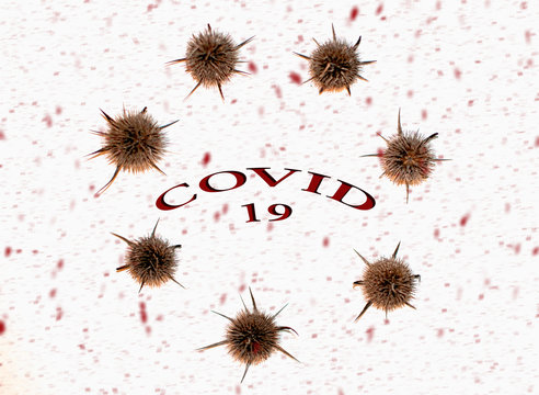 Model of a coronavirus strain from Wuhan.Conceptual exposure- COVID 19- CORONAVIRUS. Natural element- Dipsacus