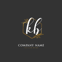 Handwritten initial letter K B KB for identity and logo. Vector logo template with handwriting and signature style.