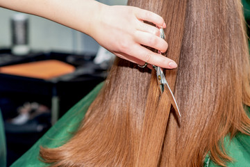 Naklejka premium Cutting hair of woman.