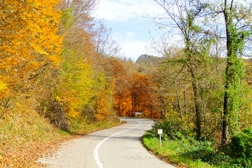 curvy asphalt road through forest in autumn, trees with colorful yellow, brown, red, green leaves, on mountain Kozara, in national park