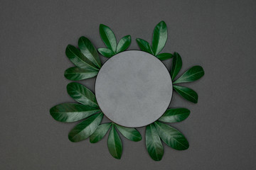 Creative layout made of papers and leaves Flat lay. Minimal nature concept.