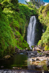 Fototapeta na wymiar Peguche waterfall i a summer morning