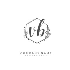 Handwritten initial letter V B VB for identity and logo. Vector logo template with handwriting and signature style.