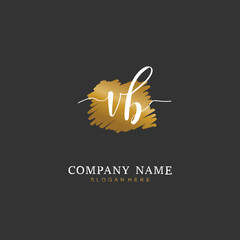 Handwritten initial letter V B VB for identity and logo. Vector logo template with handwriting and signature style.