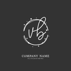 Handwritten initial letter V B VB for identity and logo. Vector logo template with handwriting and signature style.