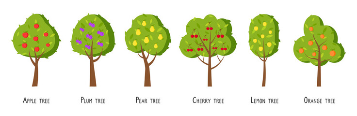 Green fruit tree flat cartoon set. Different trees with ripe fruits apple, plum, pear, cherry, lemon, orange. Simple colorful symbol organic orchard. Natural harvest icon. Isolated vector illustration