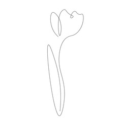 Flower drawing on white background, vector illustration