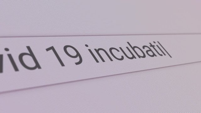Covid 19 Incubation Search Bar Close Up Single Line Typing Text Box Layout Web Database Browser Engine Concept
